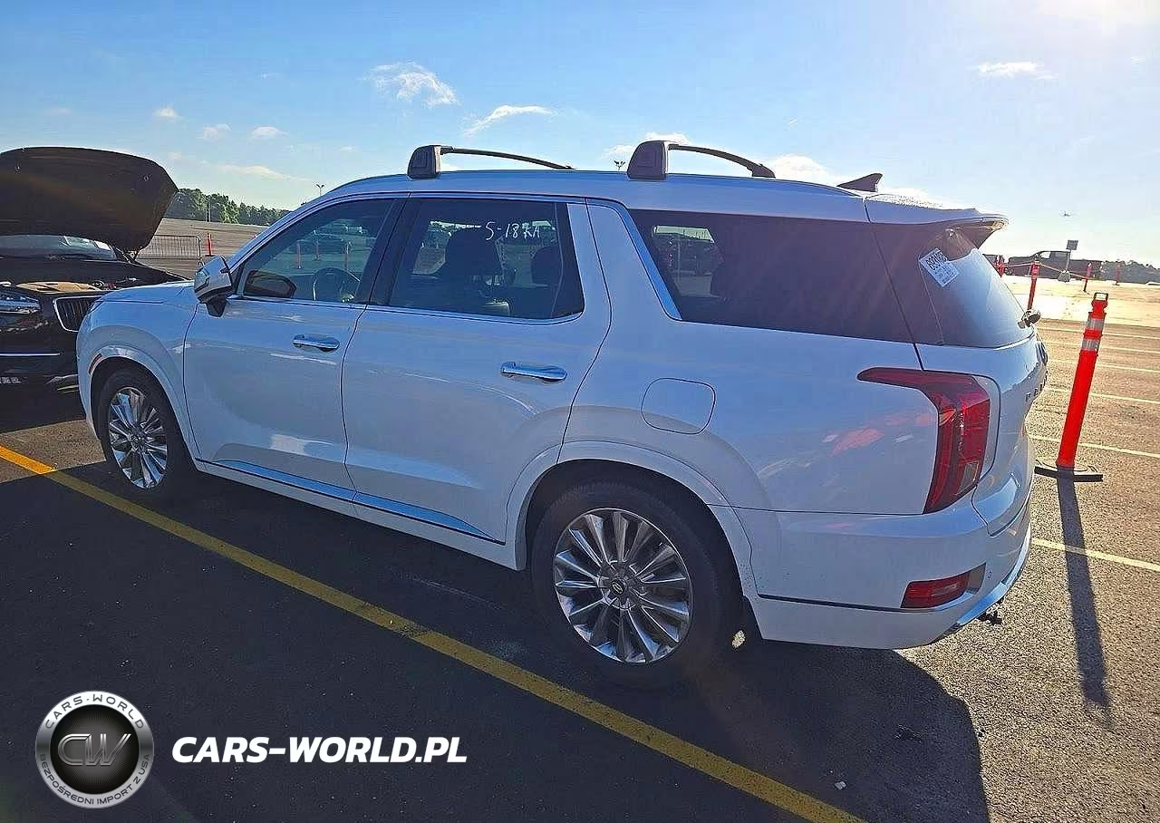 2020 Hyundai Palisade Limited VIN:KM8R5DHEXLU135799 - 3