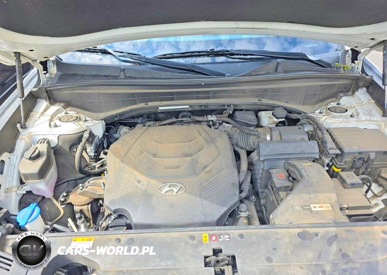 2020 Hyundai Palisade Limited VIN:KM8R5DHEXLU135799 - 7