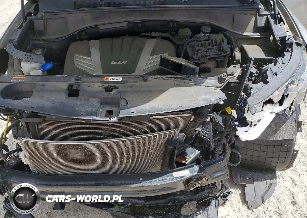 2019 Hyundai Santa Fe Xl Se VIN:KM8SMDHF4KU302413 - 12