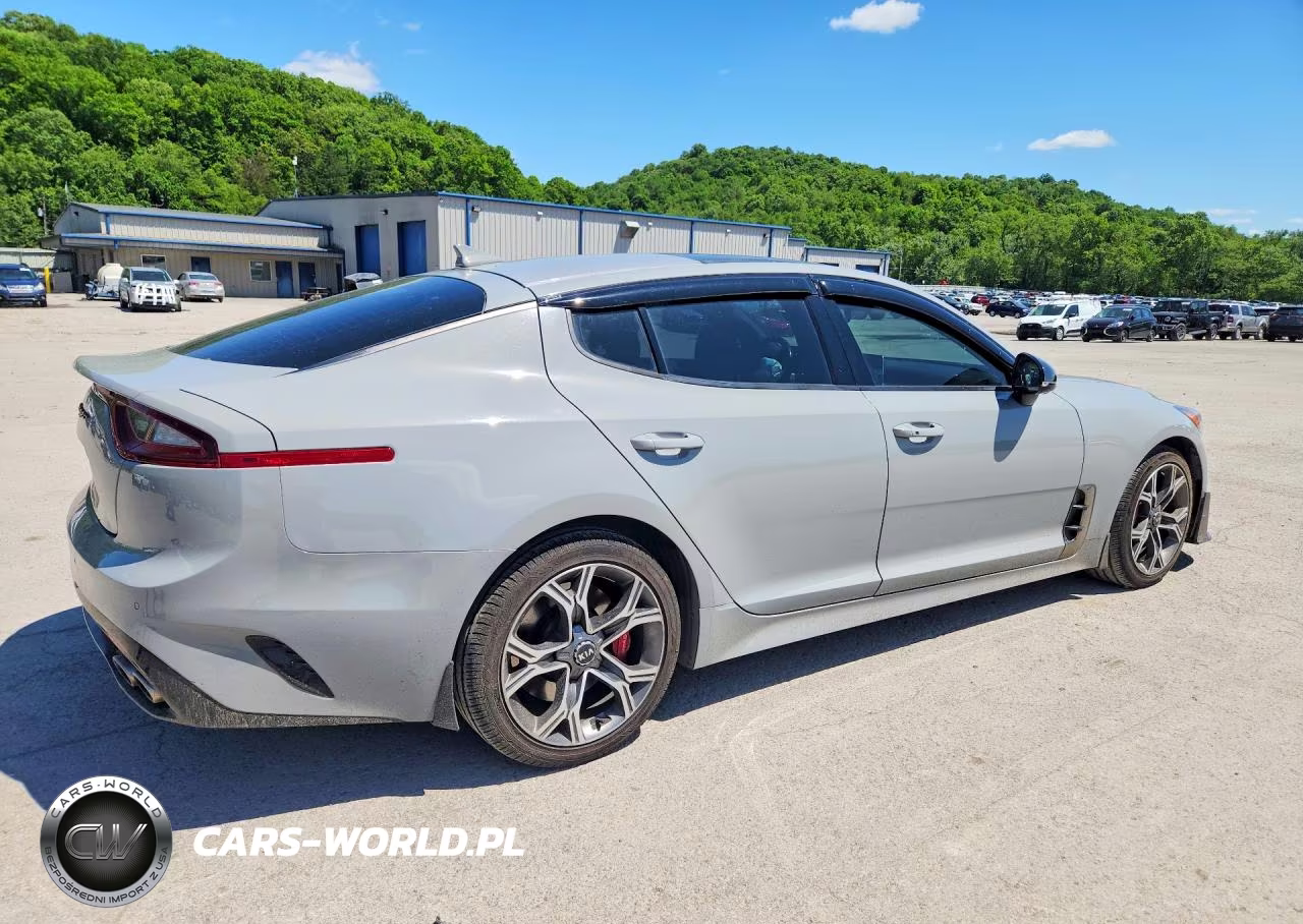 2019 Kia Stinger Gt2 VIN:KNAE55LC2K6056514 - 3