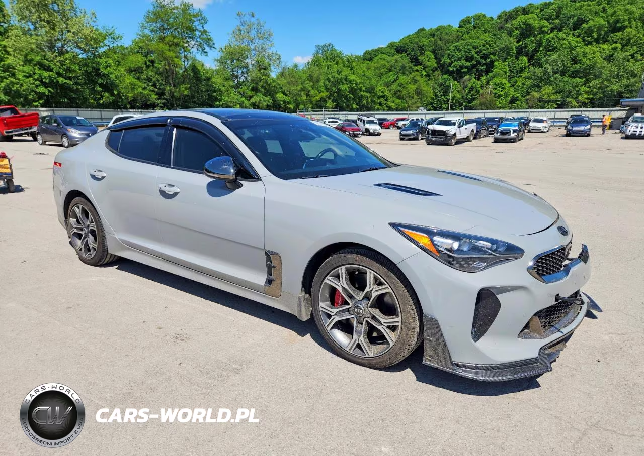 2019 Kia Stinger Gt2 VIN:KNAE55LC2K6056514 - 4