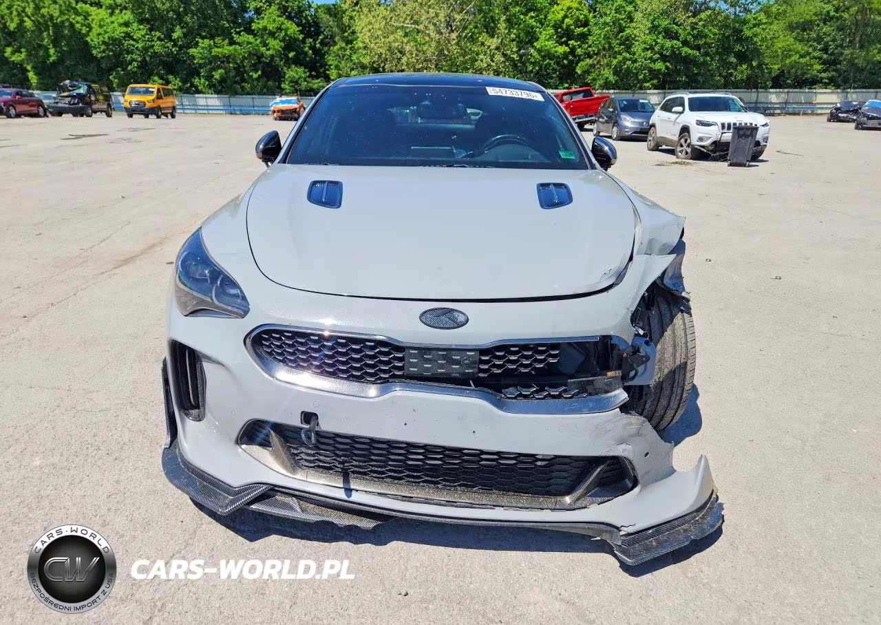 2019 Kia Stinger Gt2 VIN:KNAE55LC2K6056514 - 5