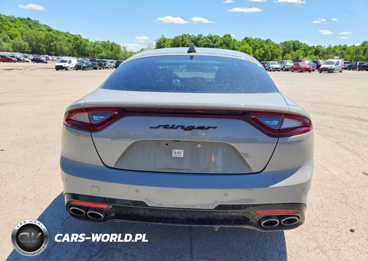 2019 Kia Stinger Gt2 VIN:KNAE55LC2K6056514 - 6