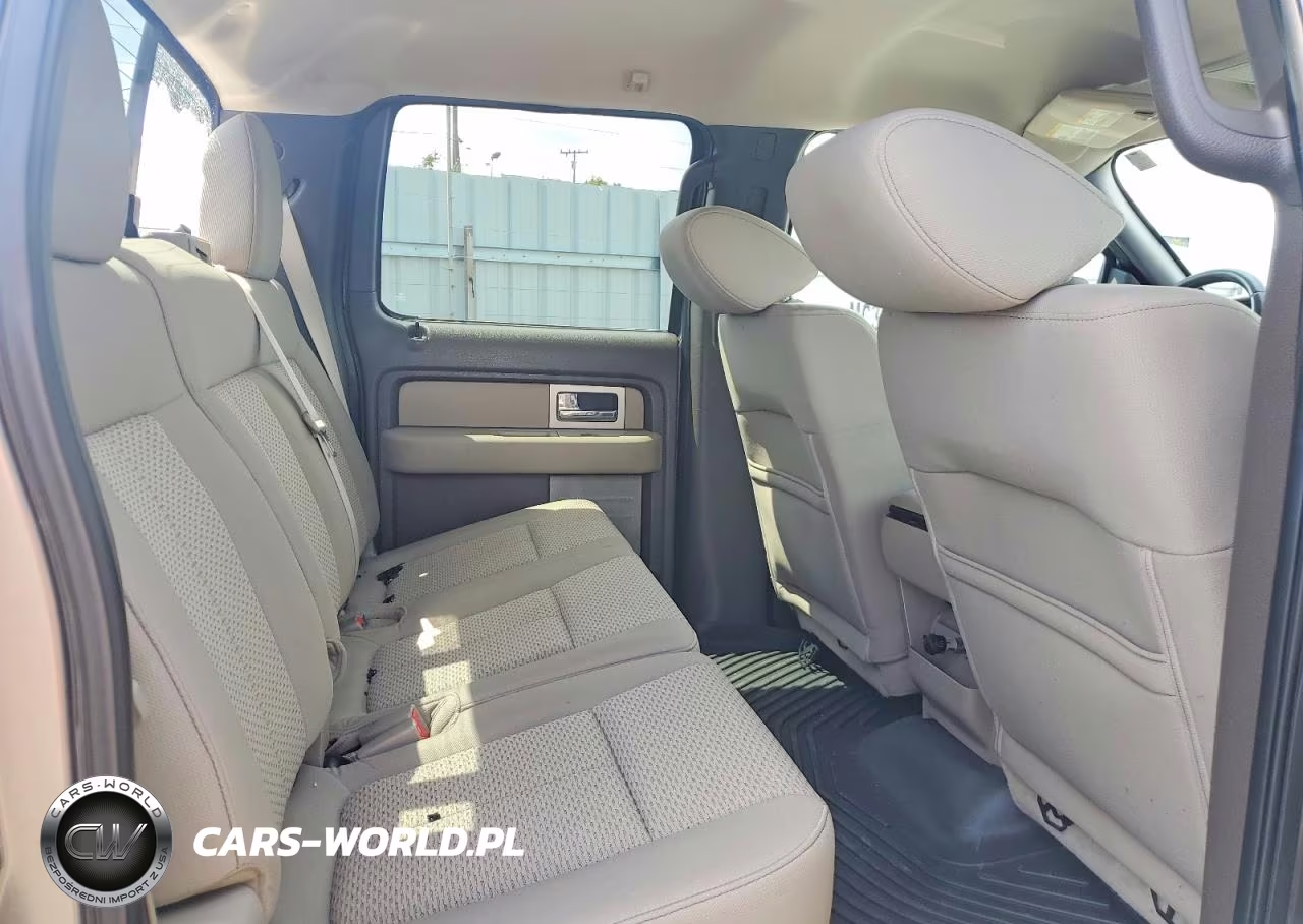 2010 Ford F150 Supercrew VIN:1FTFW1EV0AFA99355 - 10