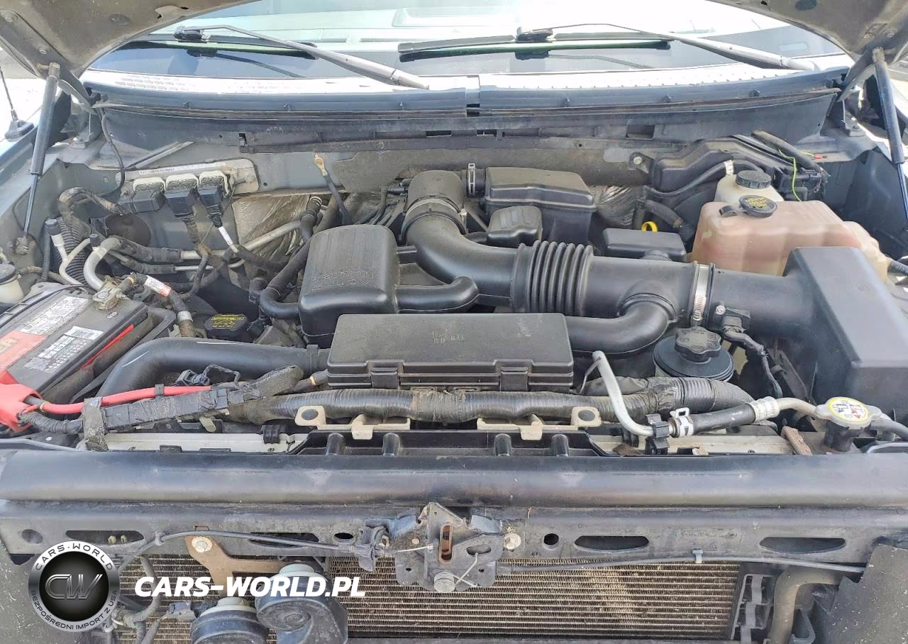 2010 Ford F150 Supercrew VIN:1FTFW1EV0AFA99355 - 11