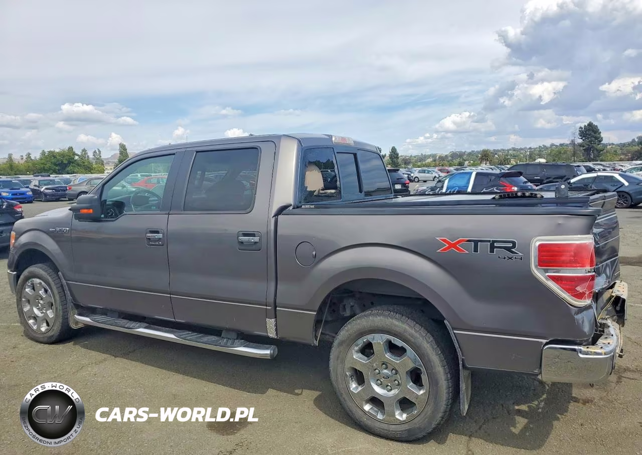 2010 Ford F150 Supercrew VIN:1FTFW1EV0AFA99355 - 2