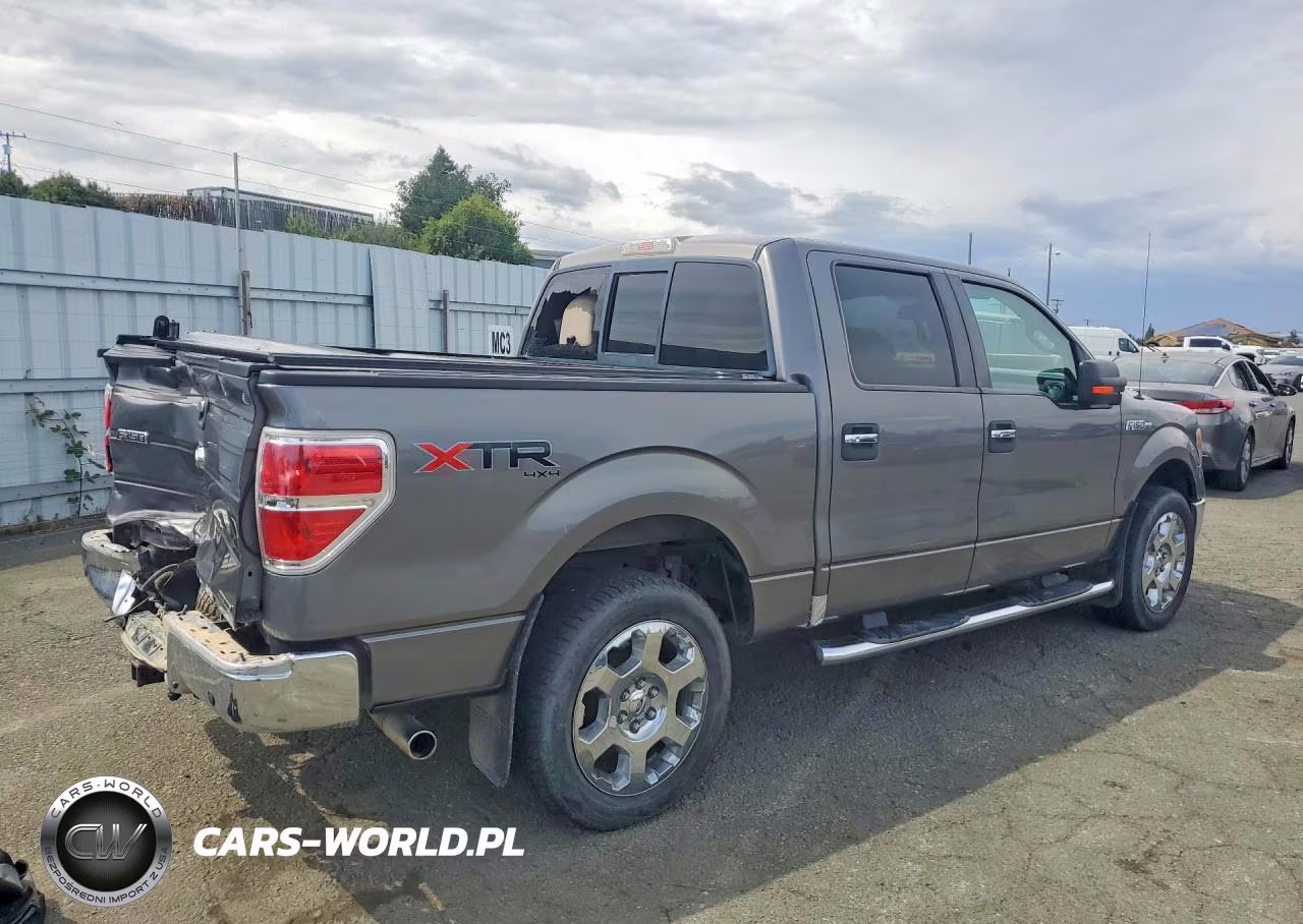 2010 Ford F150 Supercrew VIN:1FTFW1EV0AFA99355 - 3