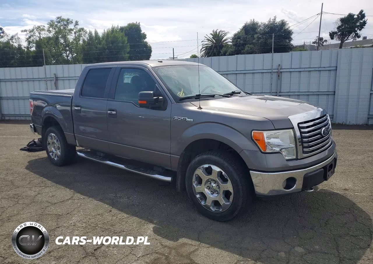 2010 Ford F150 Supercrew VIN:1FTFW1EV0AFA99355 - 4