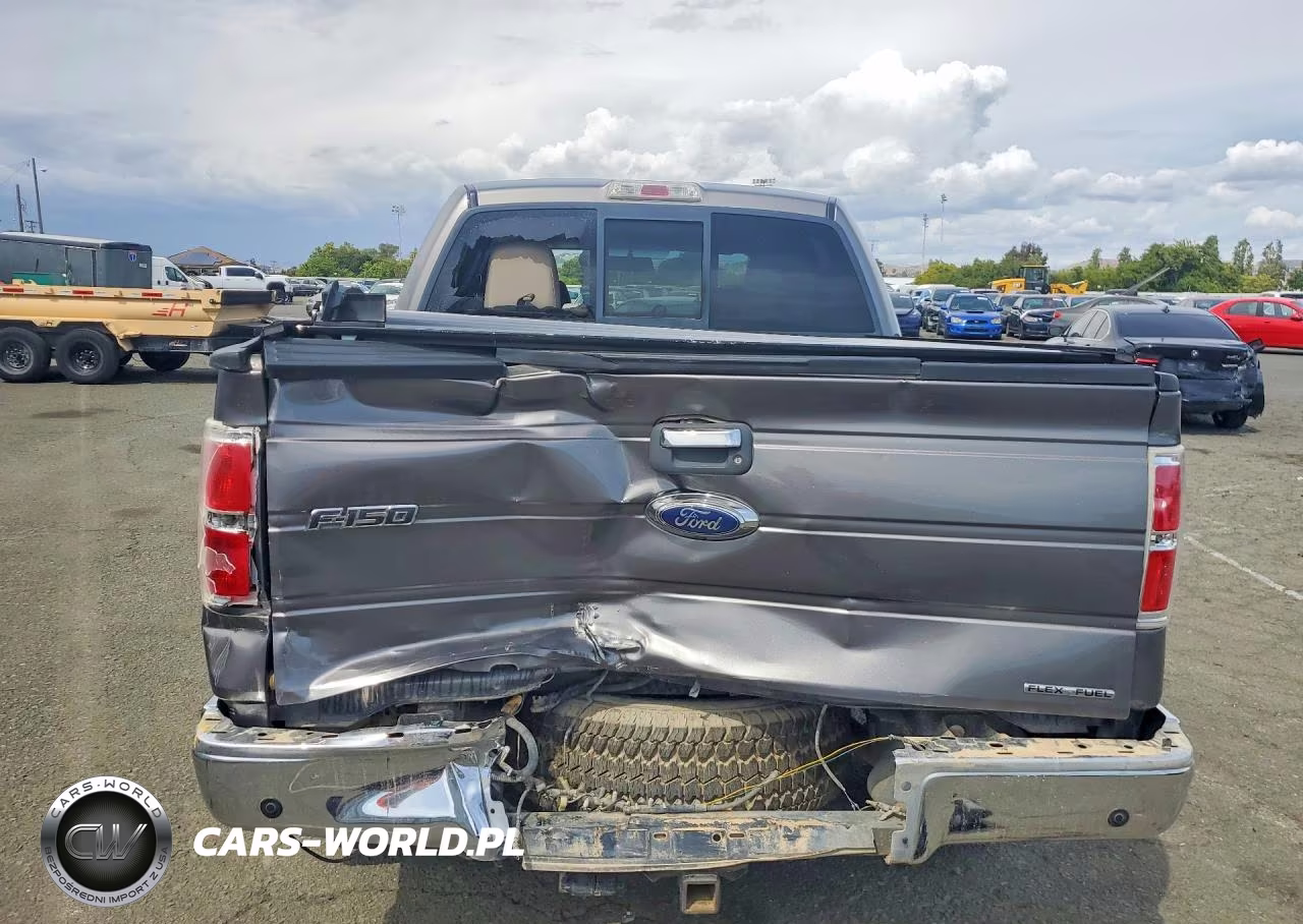 2010 Ford F150 Supercrew VIN:1FTFW1EV0AFA99355 - 6