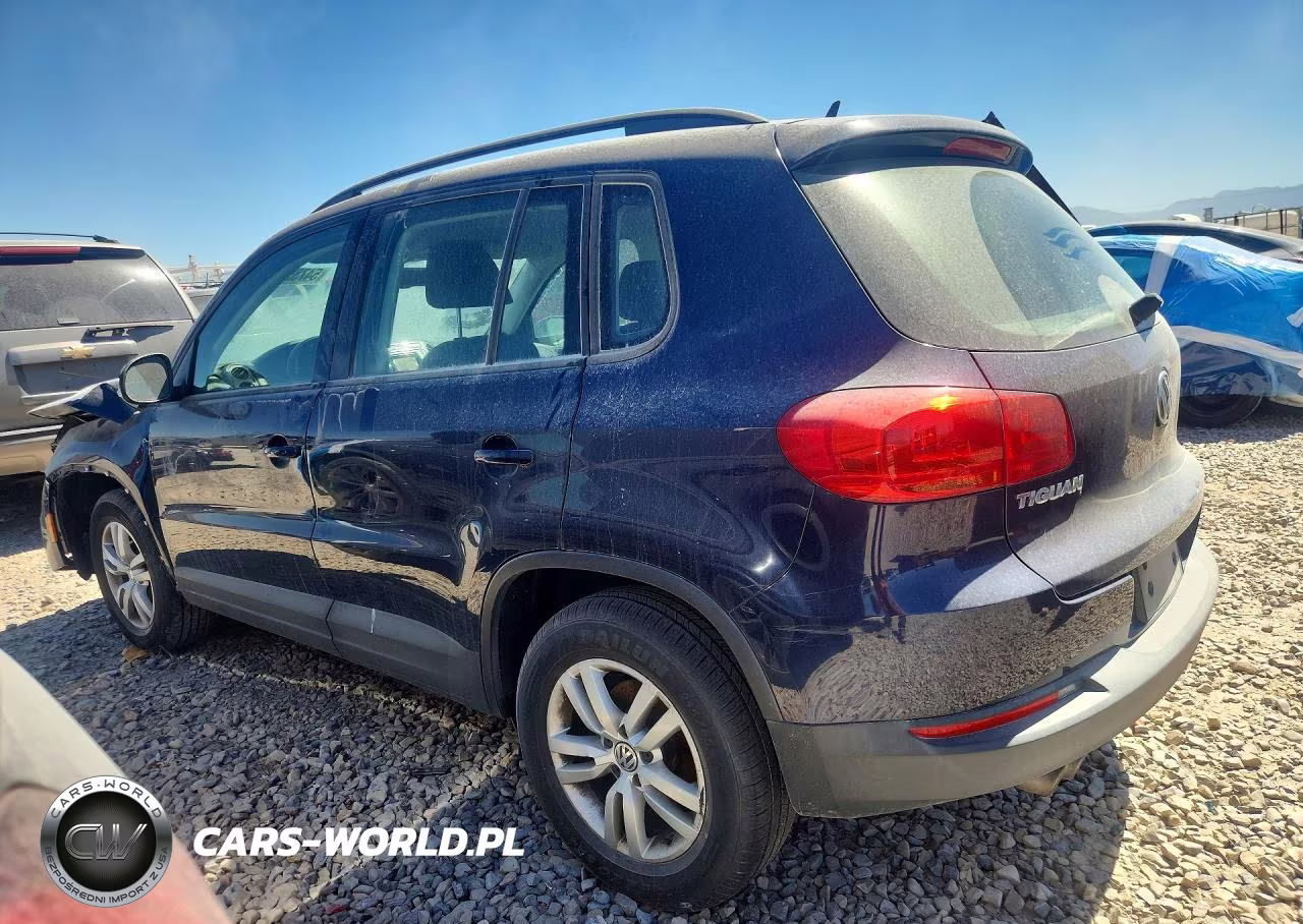 2016 Volkswagen Tiguan S VIN:WVGAV7AX5GW555944 - 2