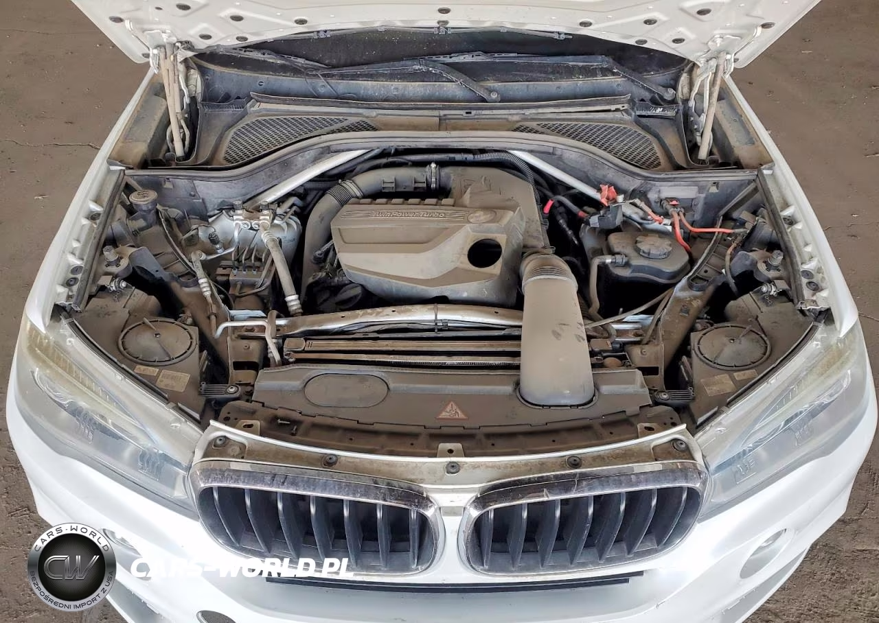 2015 BMW X5 xDrive35I VIN:5UXKR0C57F0P12843 - 11