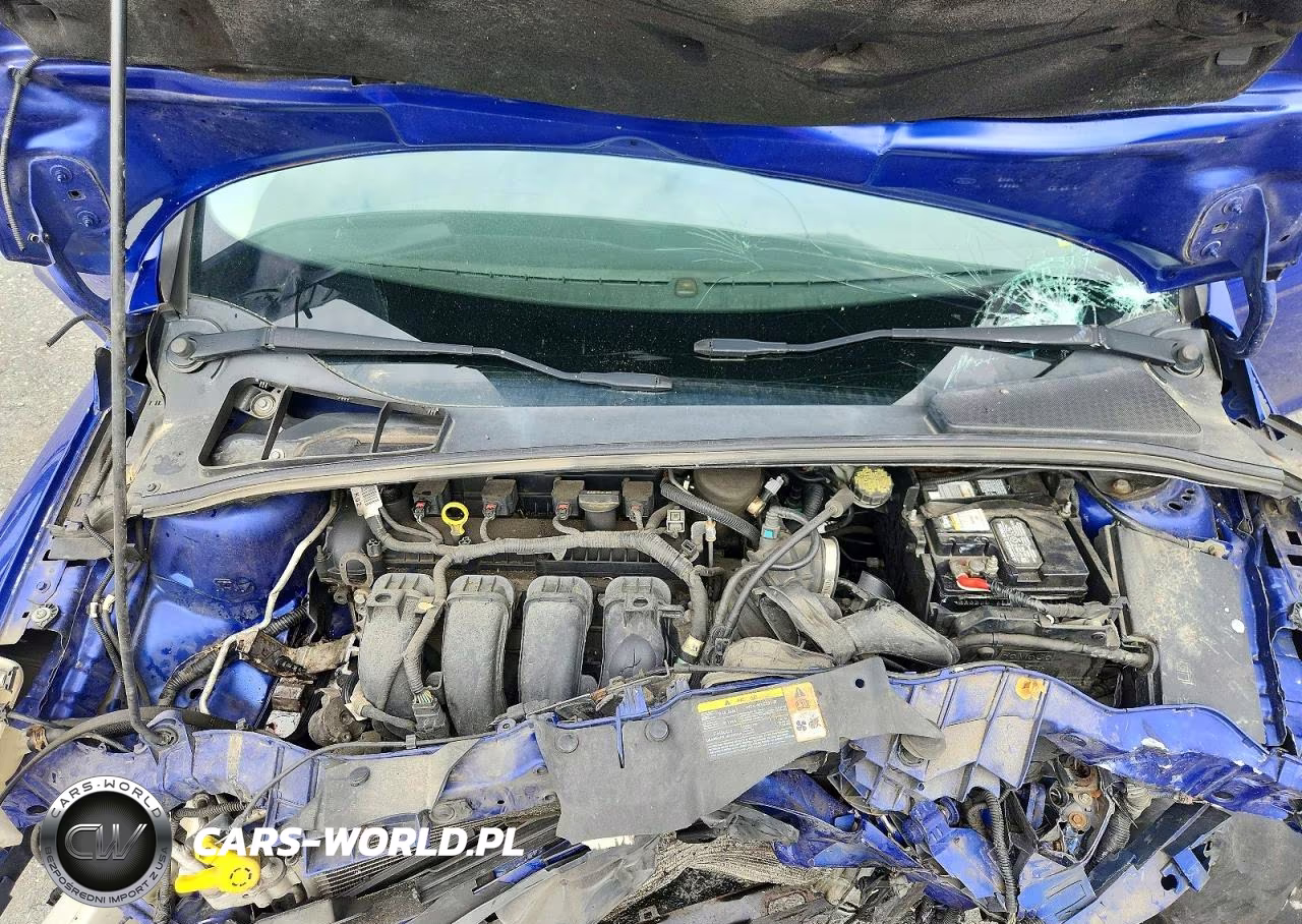 2014 Ford Focus Se VIN:1FADP3K25EL172453 - 11