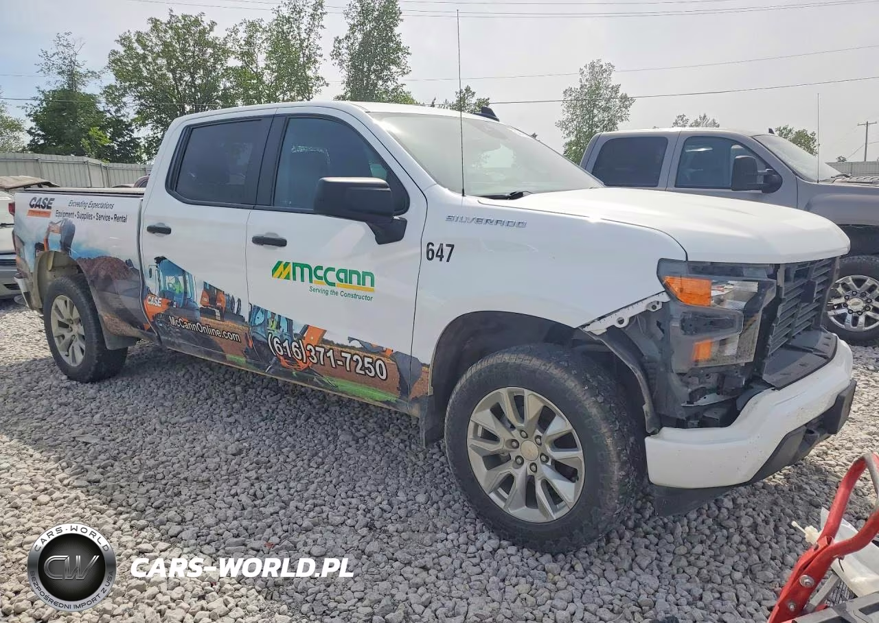 2023 Chevrolet Silverado K1500 Custom VIN:3GCPDBEK9PG111449 - 4
