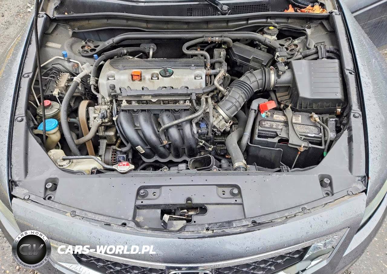 2010 Honda Accord Lx VIN:1HGCS1B31AA019304 - 11