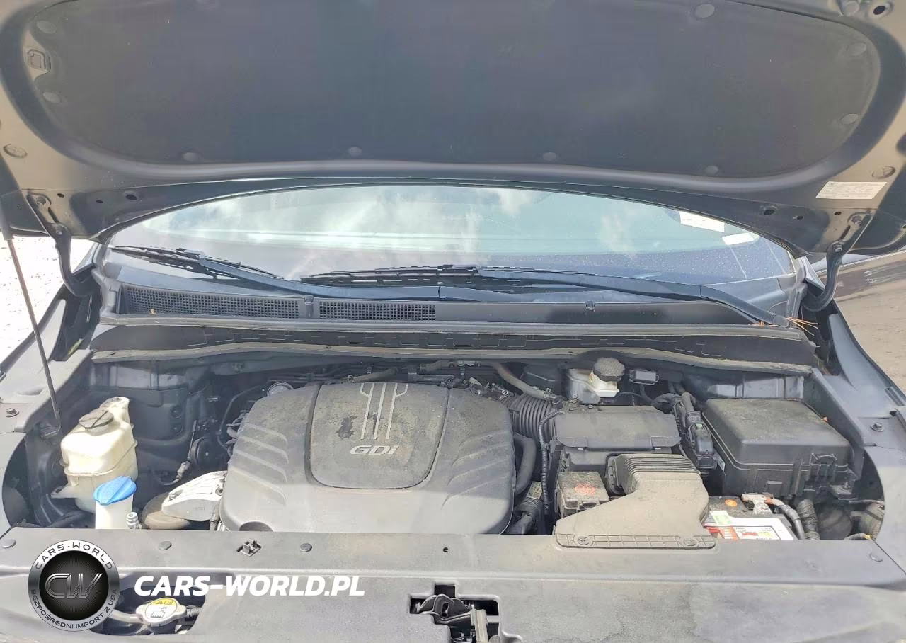 2015 Kia Sedona Sx VIN:KNDMC5C18F6063881 - 12