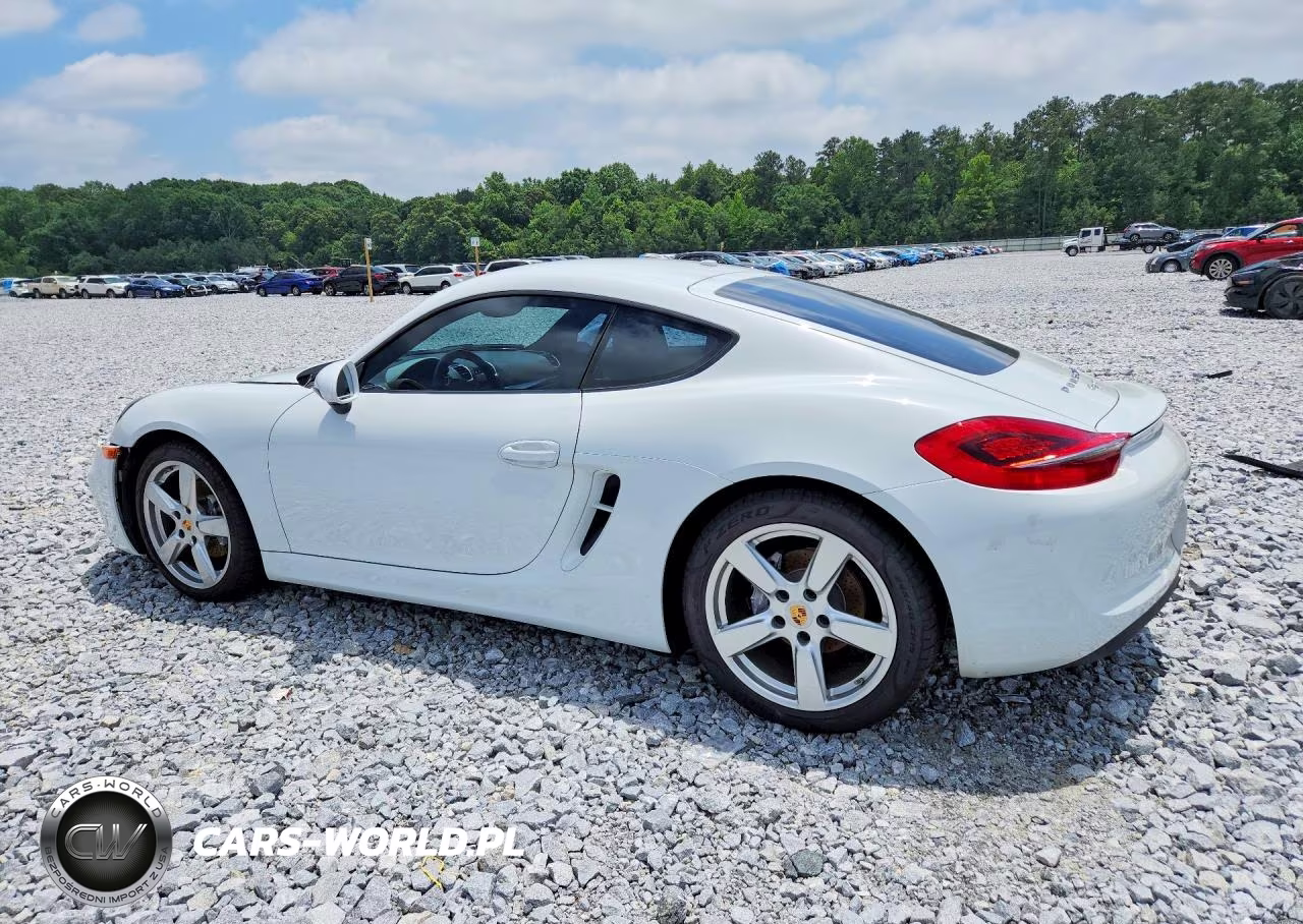 2016 Porsche Cayman VIN:WP0AA2A85GK170130 - 2