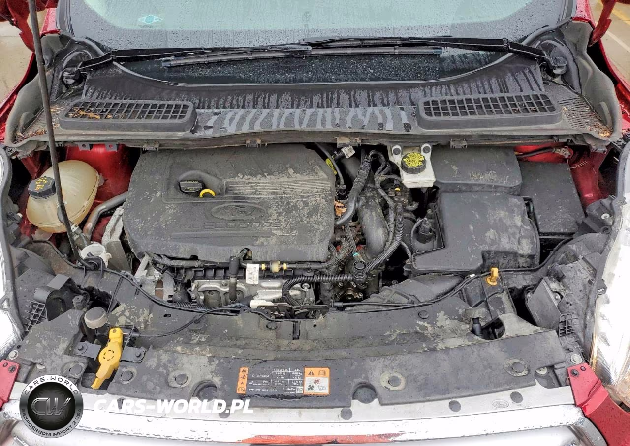 2017 Ford Escape Se VIN:1FMCU0GD6HUC46531 - 12