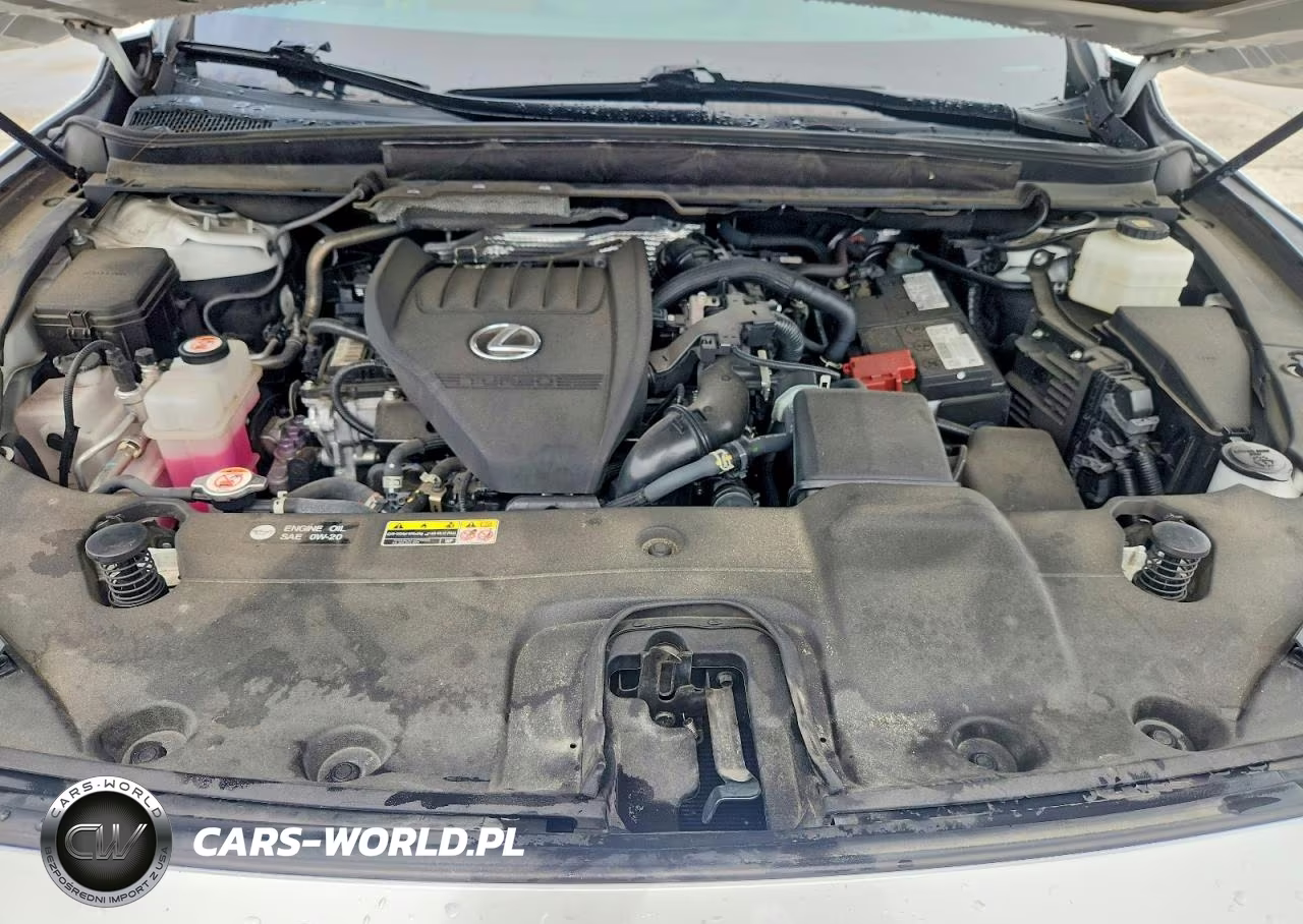 2023 Lexus Rx 350 Premium+ VIN:2T2BAMCA0PC015076 - 12