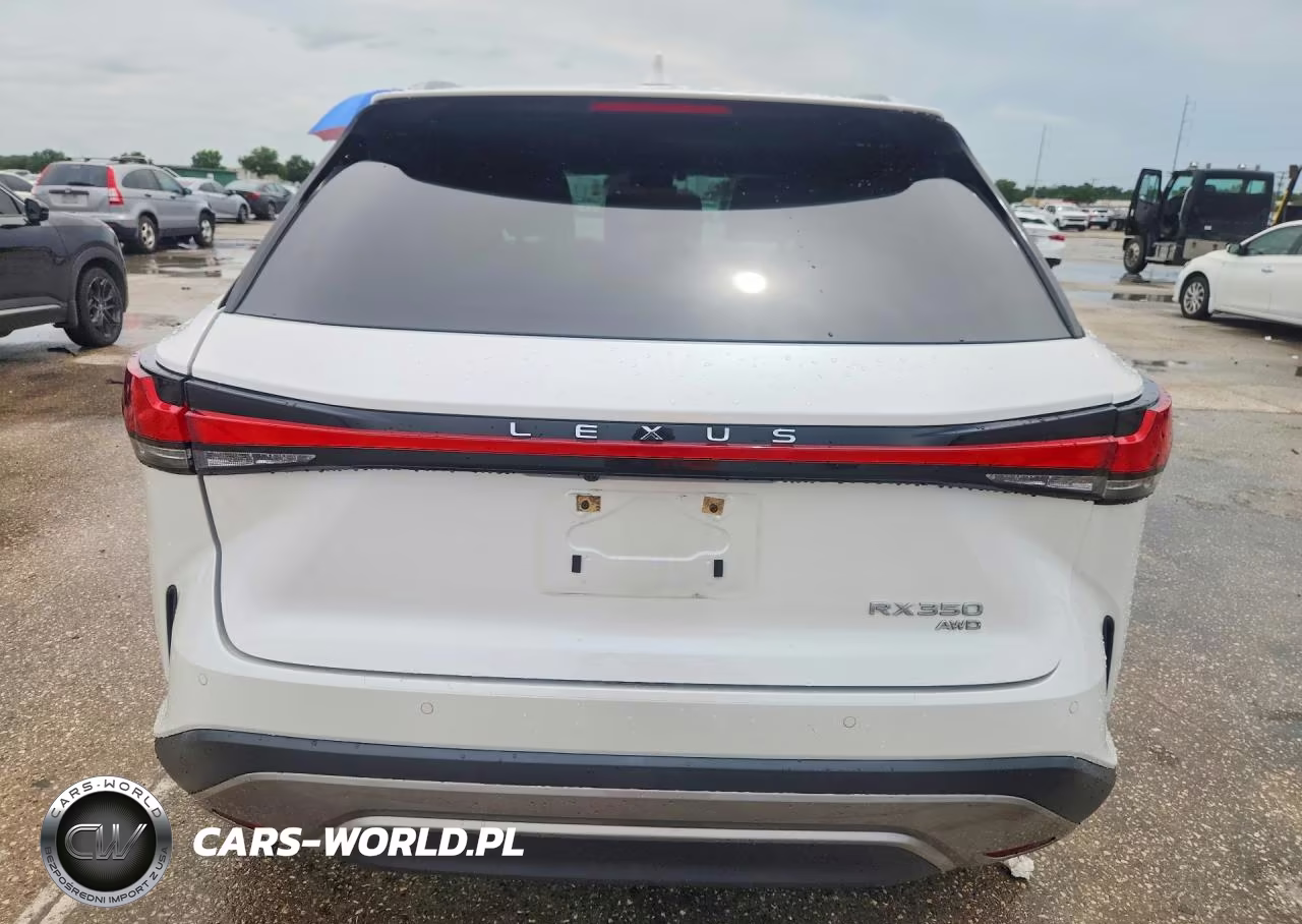 2023 Lexus Rx 350 Premium+ VIN:2T2BAMCA0PC015076 - 6