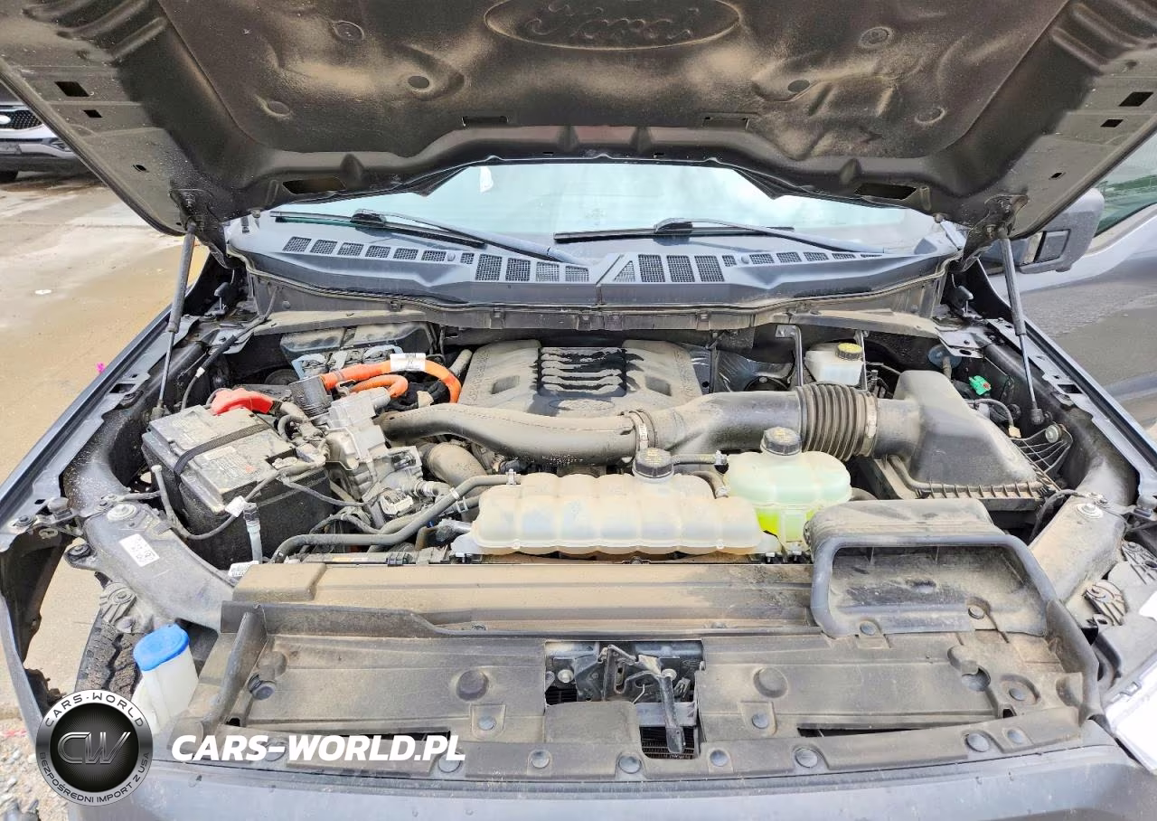 2023 Ford F150 Supercrew VIN:1FTFW1ED6PFD05438 - 11