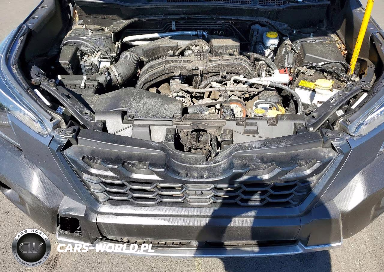 2022 Subaru Forester Wilderness VIN:JF2SKALC1NH509359 - 11