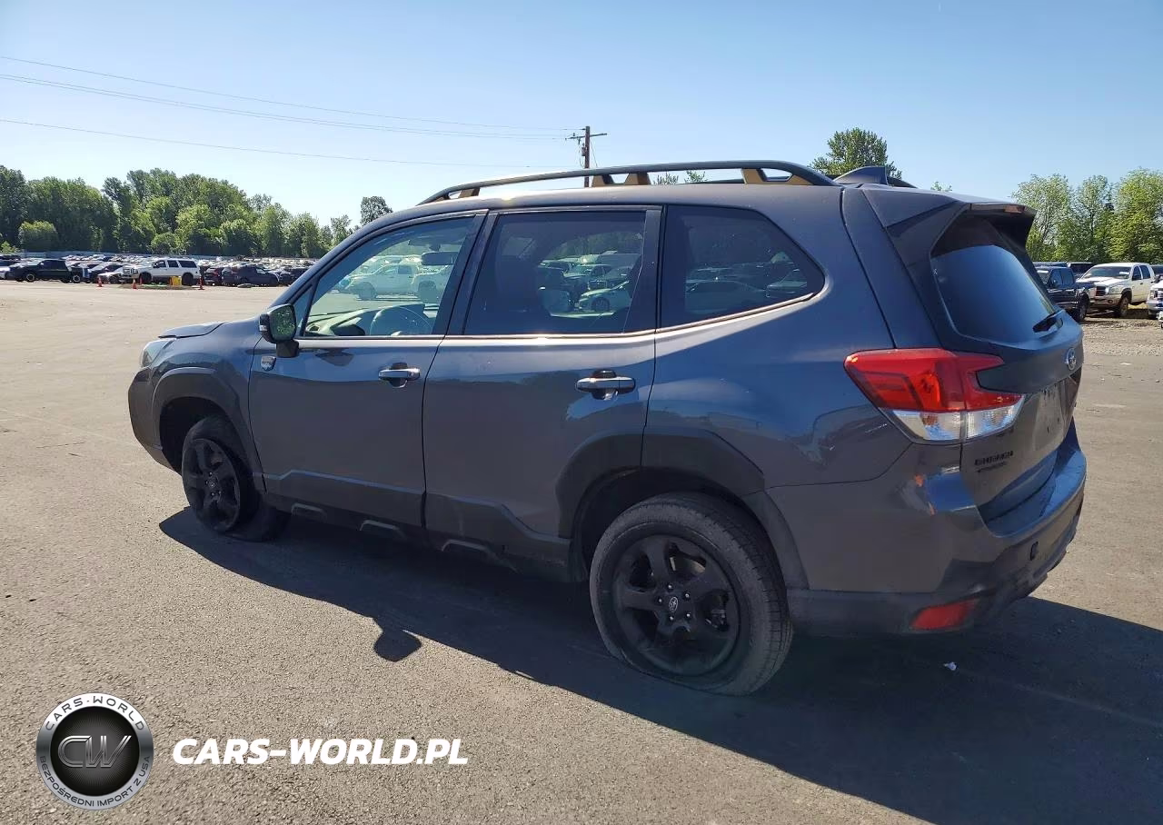 2022 Subaru Forester Wilderness VIN:JF2SKALC1NH509359 - 2