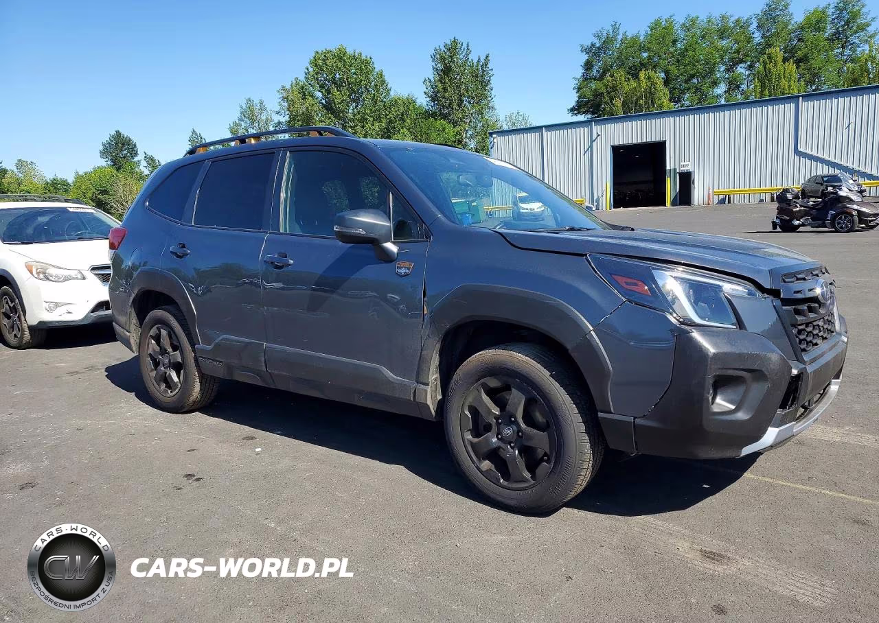 2022 Subaru Forester Wilderness VIN:JF2SKALC1NH509359 - 4