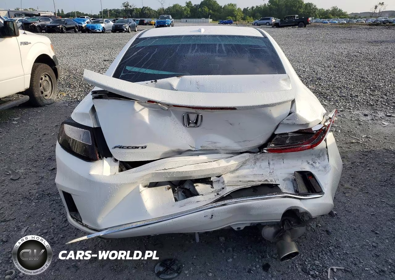 2014 Honda Accord Exl VIN:1HGCT1B84EA014113 - 6