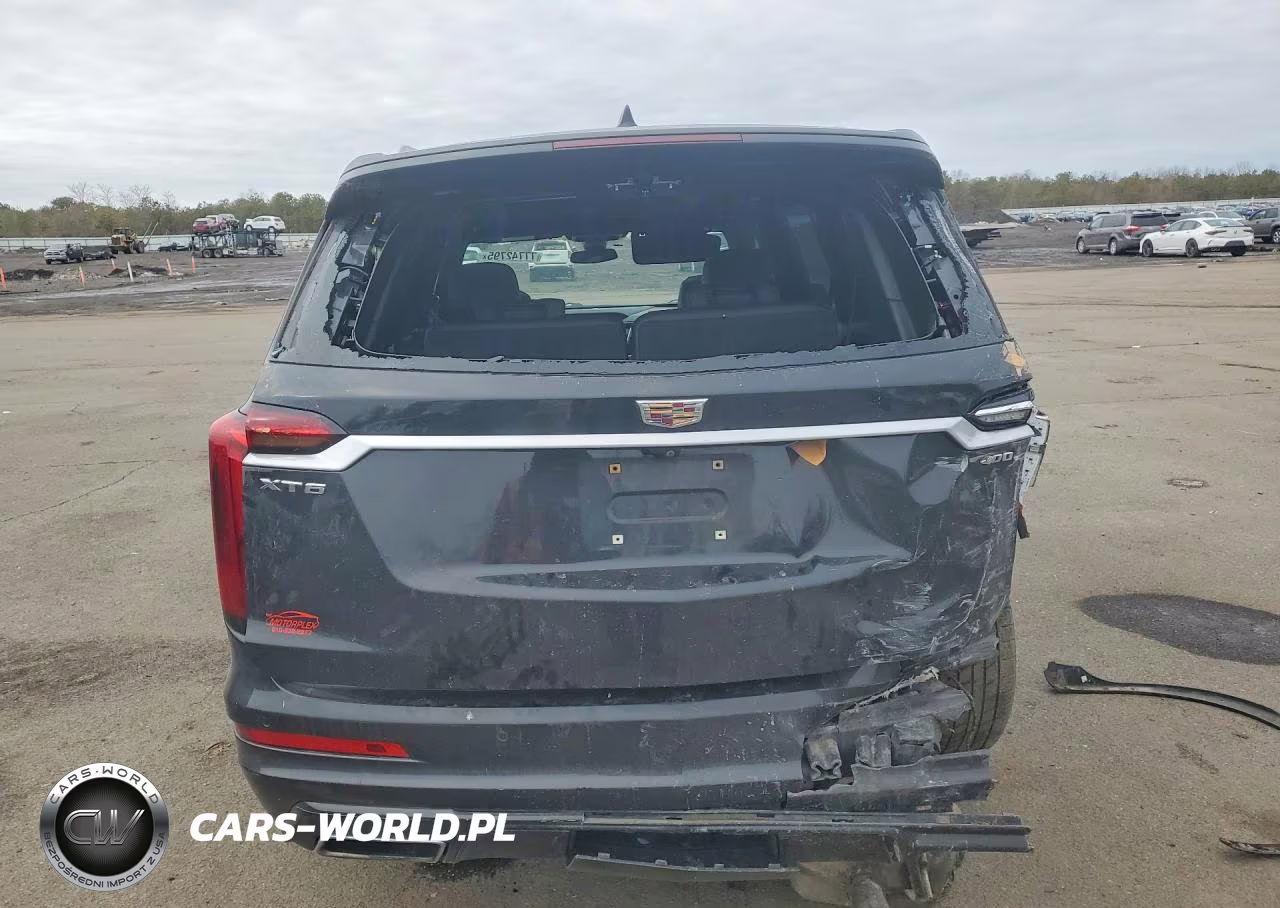 2020 Cadillac Xt6 Premium Luxury VIN:1GYKPCRS4LZ132313 - 6
