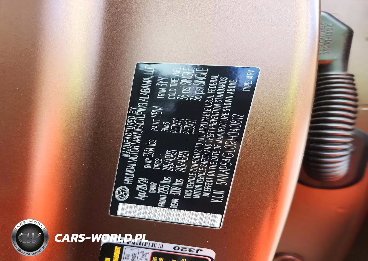 2024 Hyundai Santa Fe Calligraphy VIN:5NMP54GL0RH040812 - 13
