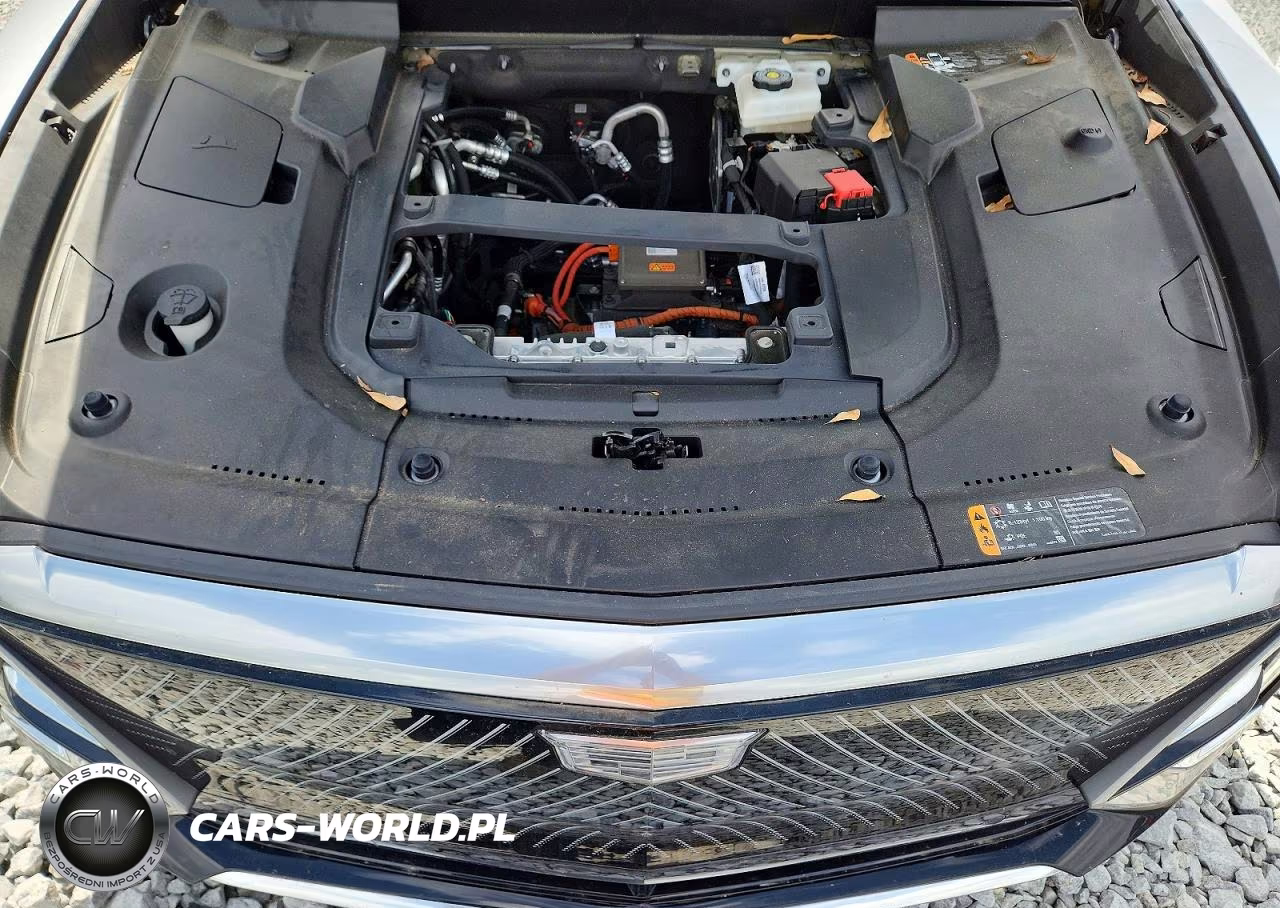 2024 Cadillac Lyriq Luxury VIN:1GYKPRRK5RZ116214 - 11