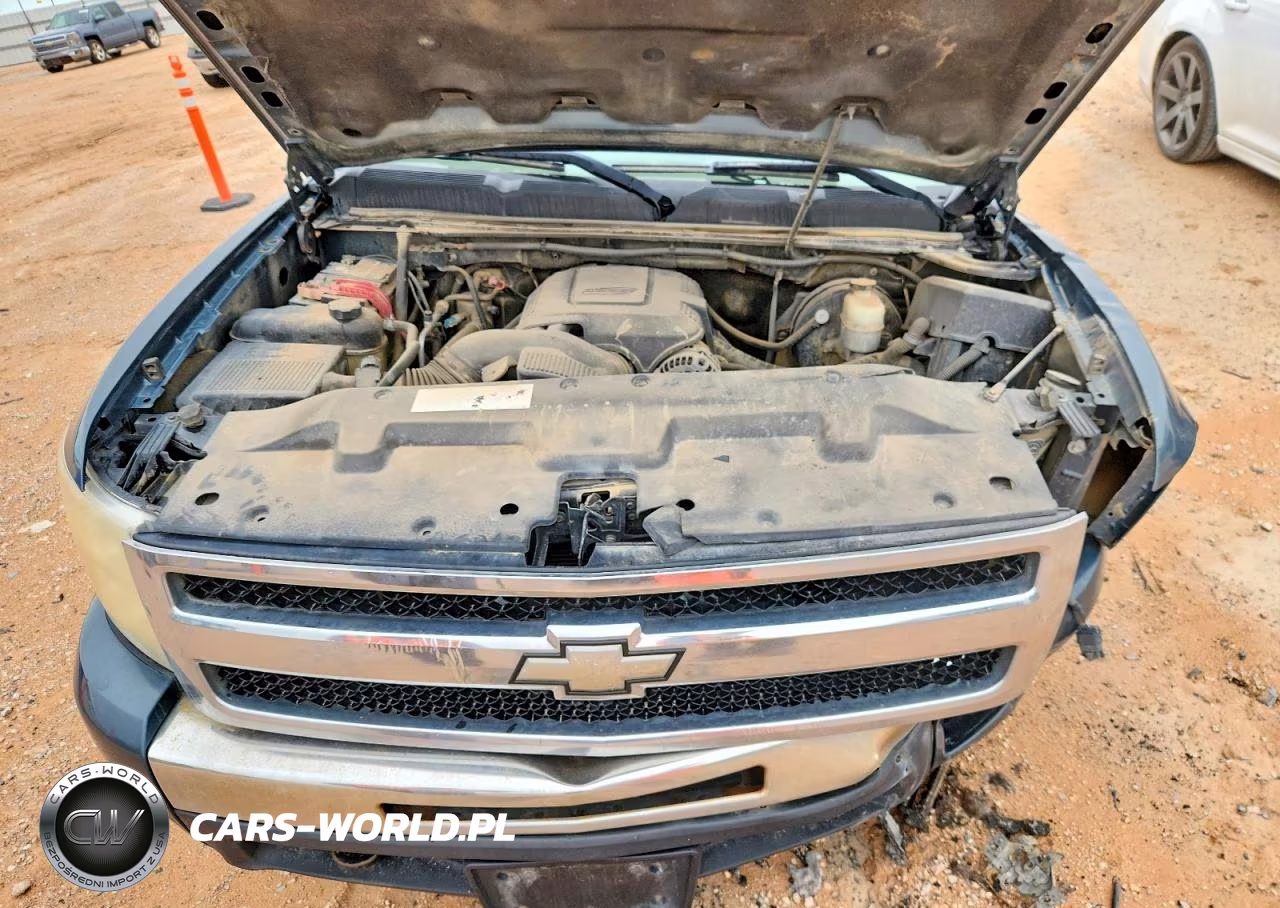 2009 Chevrolet Silverado C1500 Lt VIN:1GCEC29059Z166485 - 11