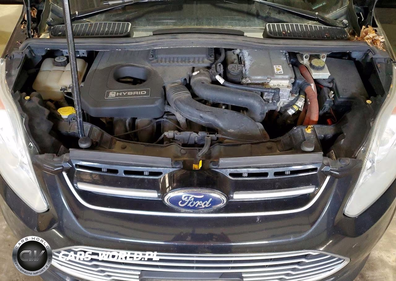 2013 Ford C-Max Sel VIN:1FADP5BU5DL512695 - 11