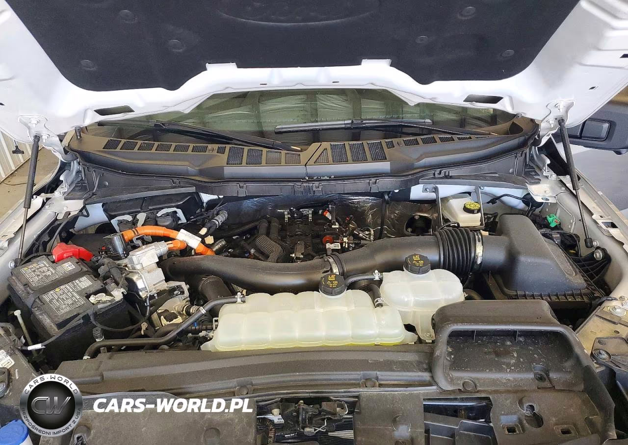 2025 Ford F150 Xlt VIN:1FTFW3LDXSFC21842 - 11
