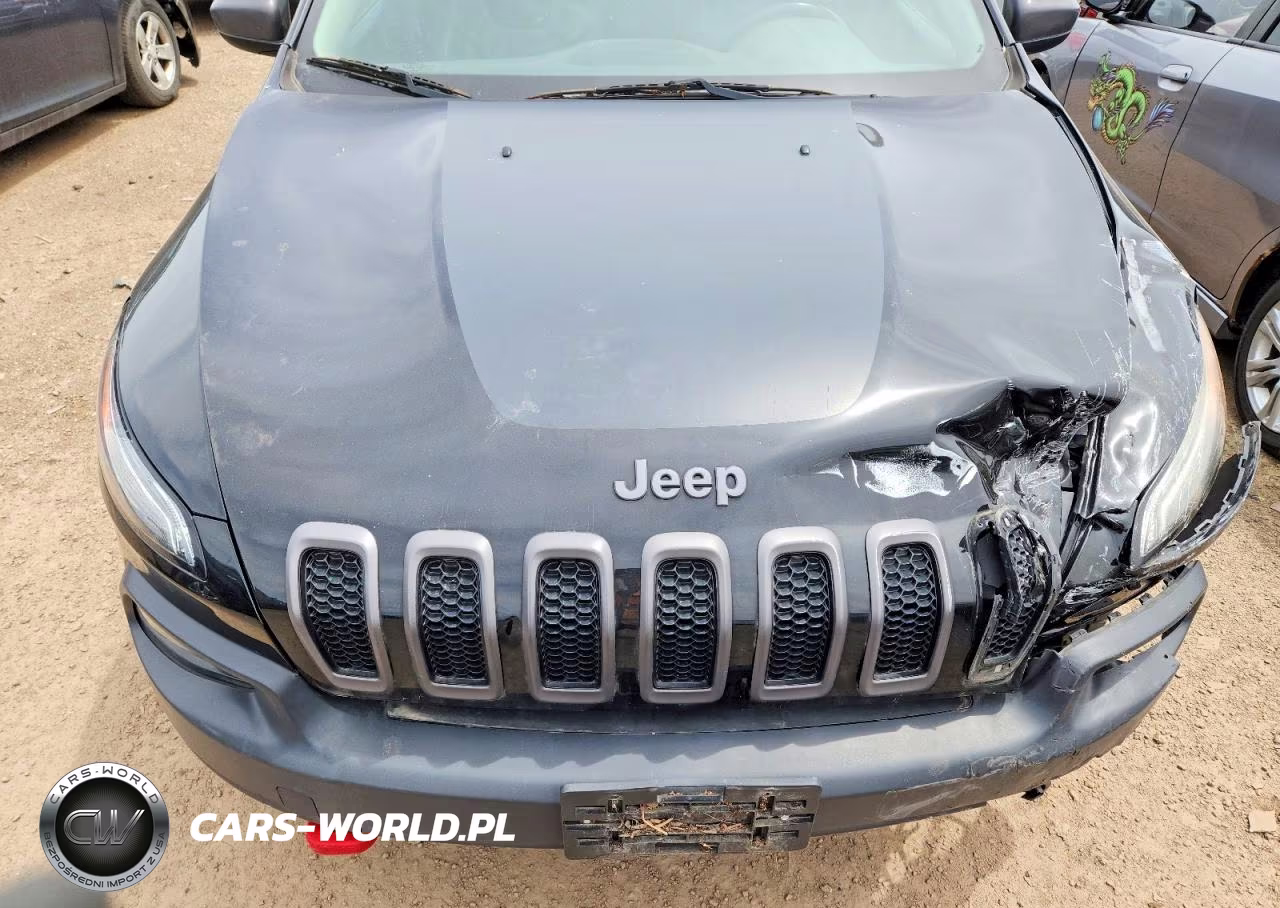 2017 Jeep Cherokee Trailhawk VIN:1C4PJMBBXHW521110 - 11