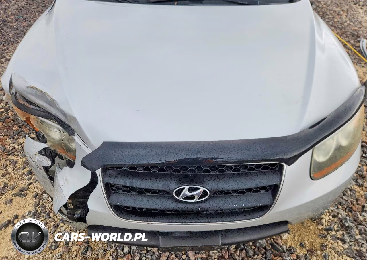 2007 Hyundai Santa Fe Gls VIN:5NMSG13D47H014762 - 11