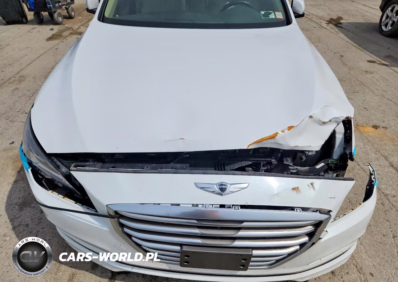 2015 Hyundai Genesis 3.8L VIN:KMHGN4JEXFU039712 - 11