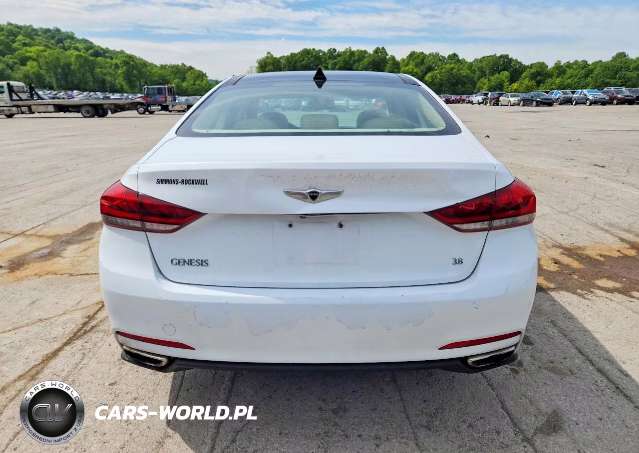 2015 Hyundai Genesis 3.8L VIN:KMHGN4JEXFU039712 - 6