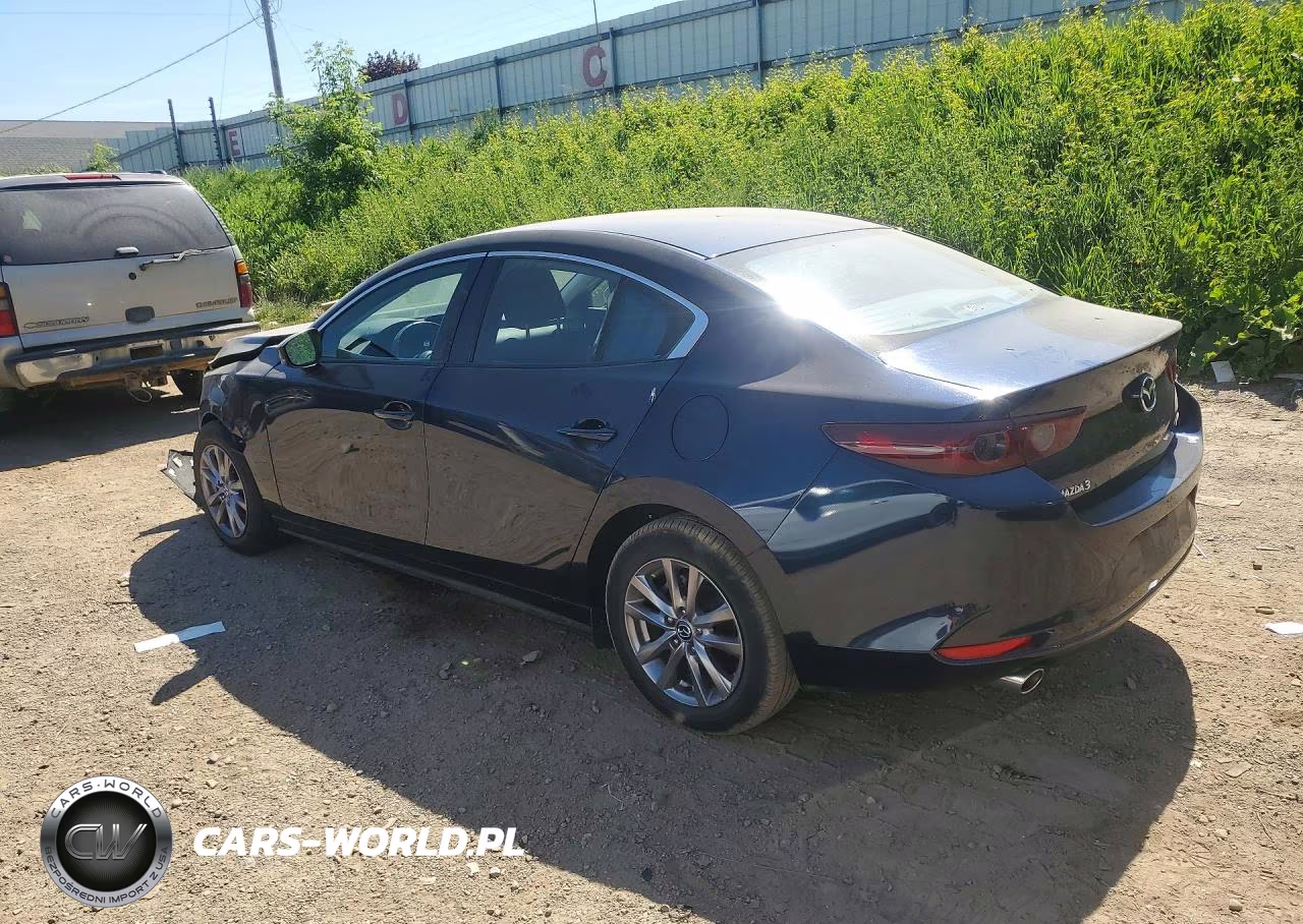 2019 Mazda Mazda 3 VIN:JM1BPACL5K1112483 - 2