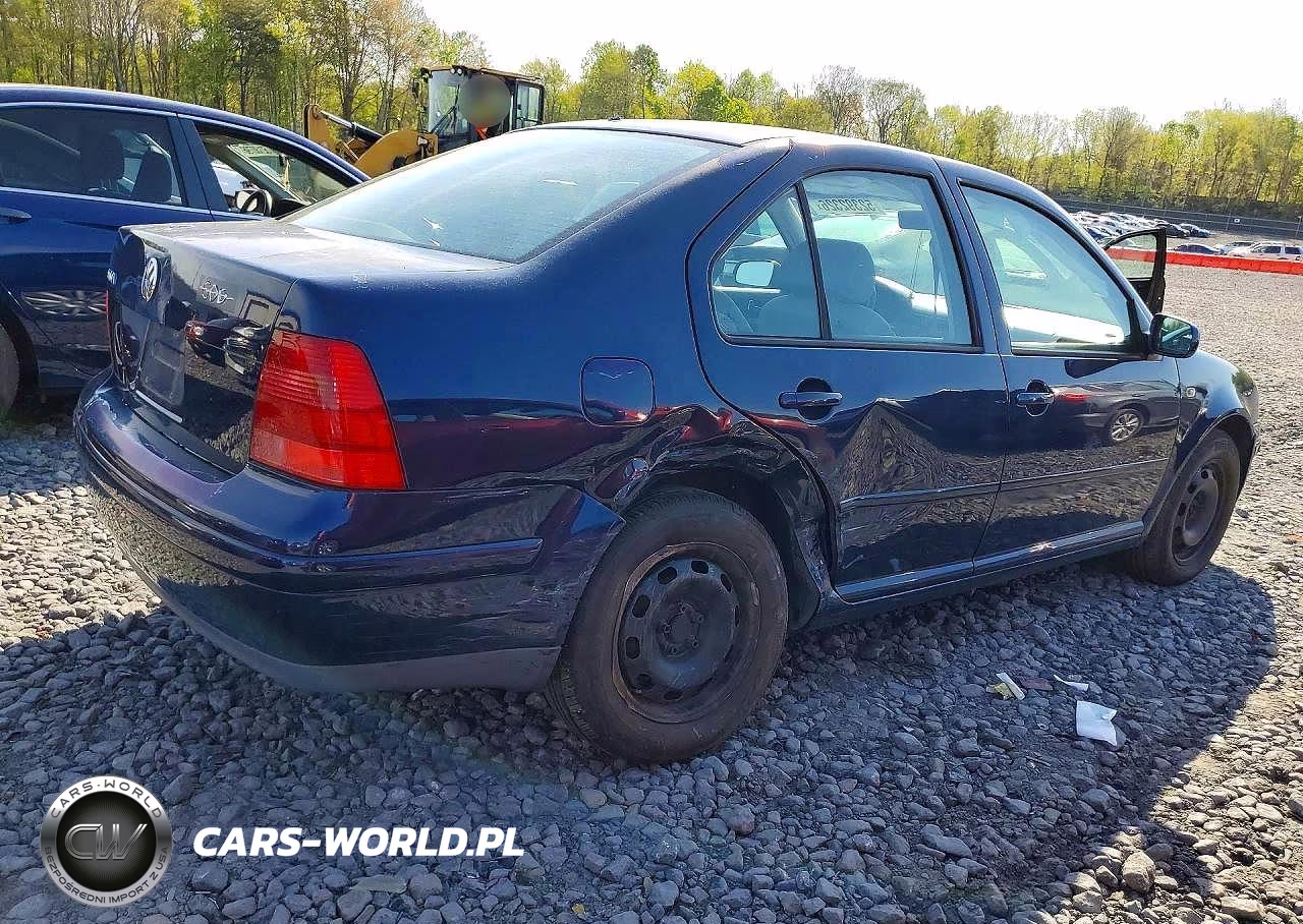 2003 Volkswagen Jetta Gl VIN:3VWRK69M43M156387 - 3