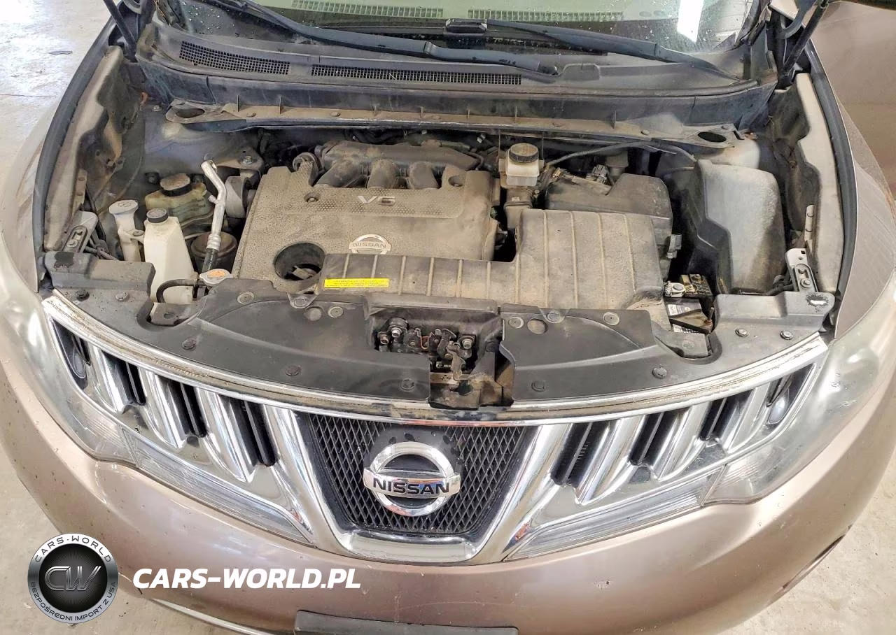 2010 Nissan Murano S VIN:JN8AZ1MW3AW127360 - 12