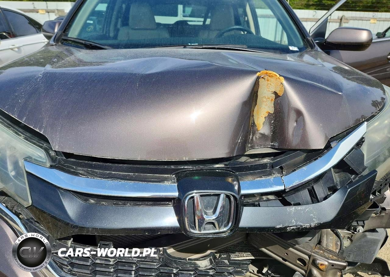 2016 Honda Cr-V Exl VIN:2HKRM4H77GH699953 - 12