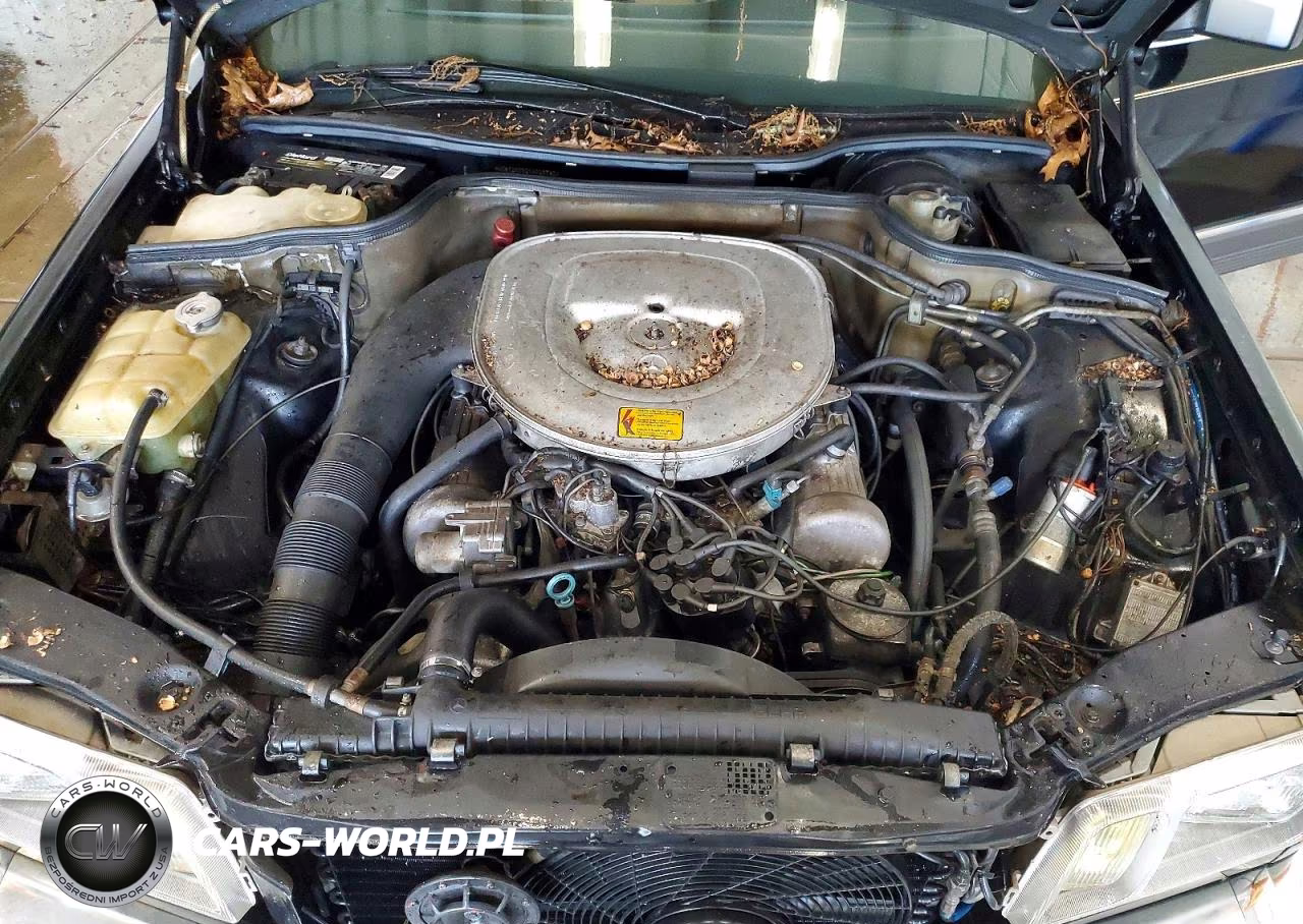 1984 Mercedes-Benz 380 Se VIN:WDBCA32A7EA025740 - 11