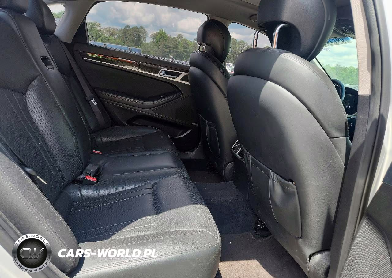 2015 Hyundai Genesis 3.8L VIN:KMHGN4JE6FU101591 - 10