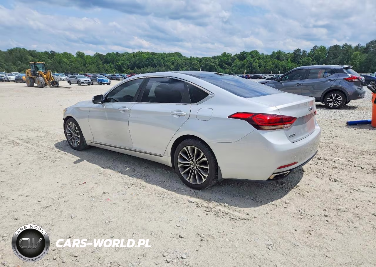2015 Hyundai Genesis 3.8L VIN:KMHGN4JE6FU101591 - 2