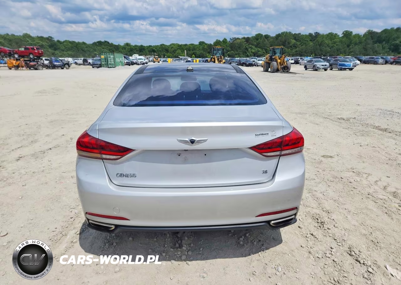 2015 Hyundai Genesis 3.8L VIN:KMHGN4JE6FU101591 - 6