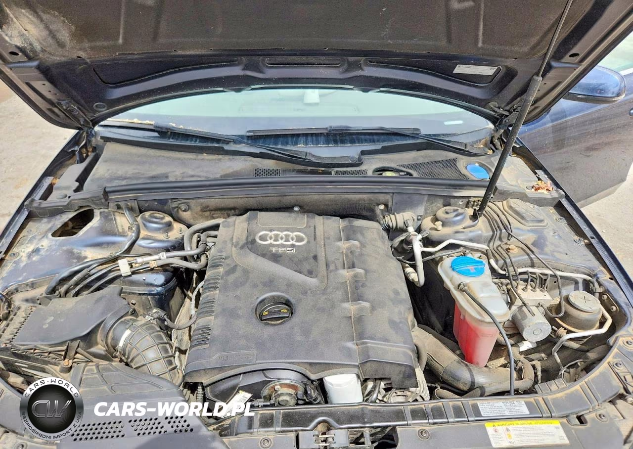 2010 Audi A4 VIN:WAUFFAFL9AN058464 - 11