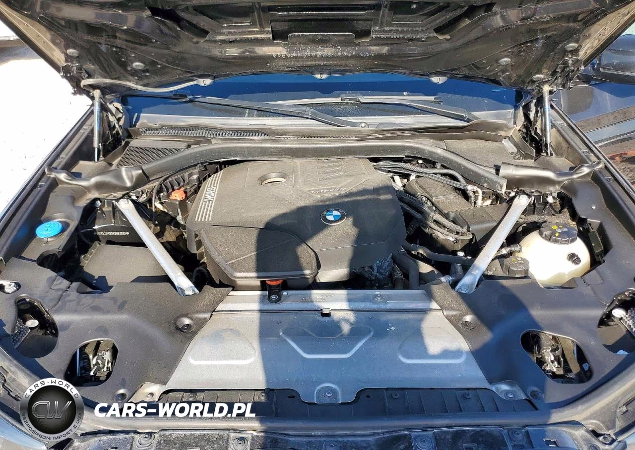 2023 BMW X3 xDrive30I VIN:5UX53DP00P9R61910 - 12