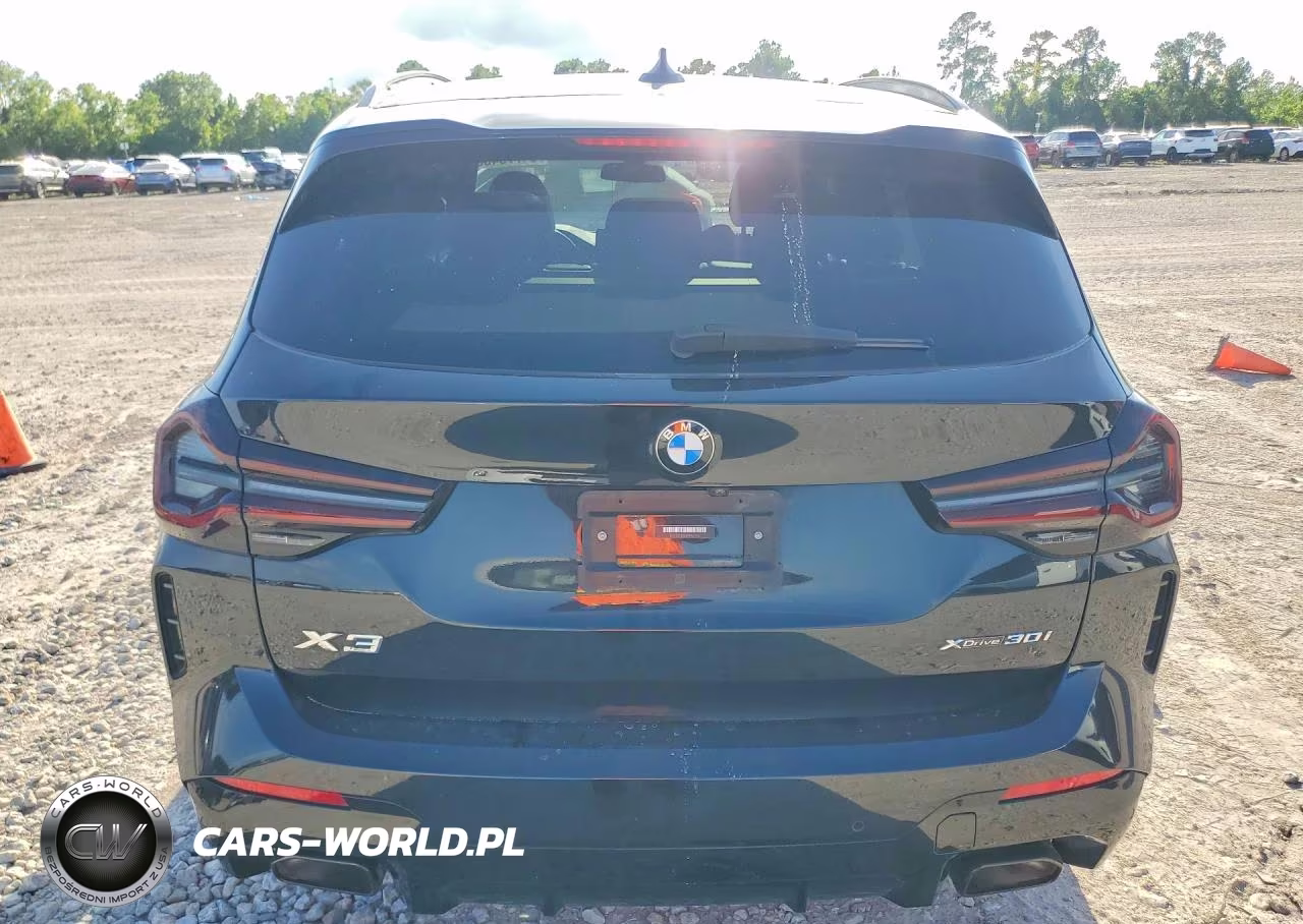 2023 BMW X3 xDrive30I VIN:5UX53DP00P9R61910 - 6