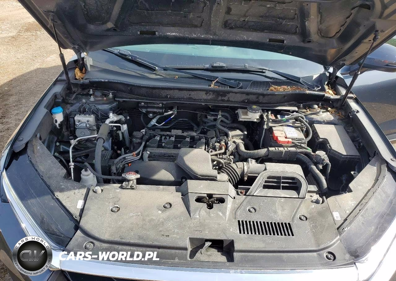 2024 Honda Cr-V Lx VIN:2HKRS4H29RH416188 - 12